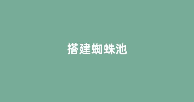 百度seo优化软件